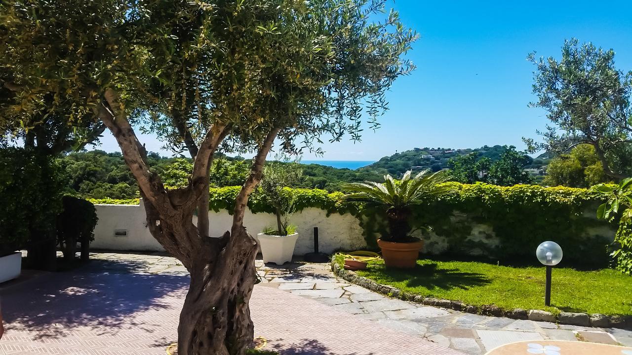 Appartamenti Luongo Forio di Ischia 外观 照片