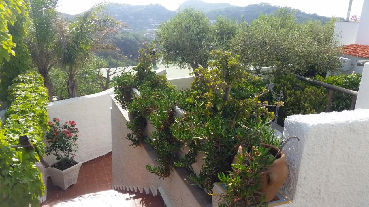 Appartamenti Luongo Forio di Ischia 外观 照片
