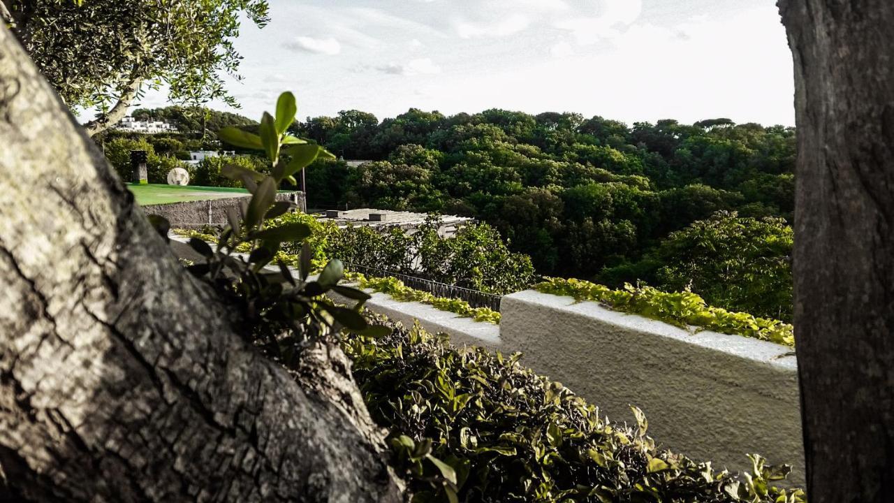 Appartamenti Luongo Forio di Ischia 外观 照片