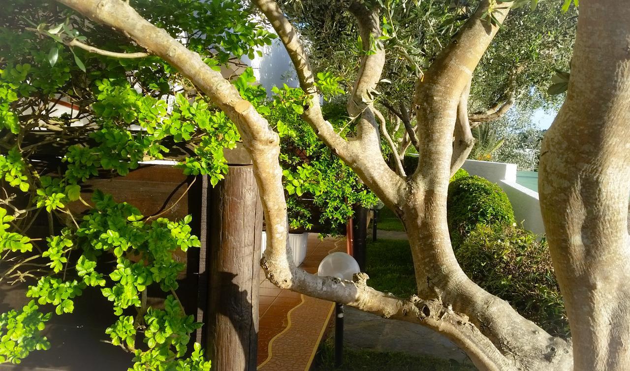 Appartamenti Luongo Forio di Ischia 外观 照片