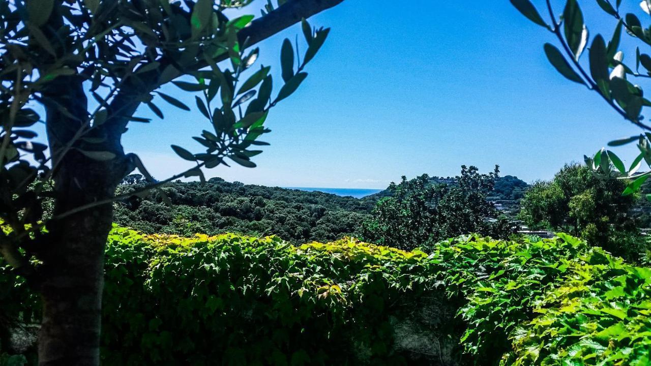 Appartamenti Luongo Forio di Ischia 外观 照片